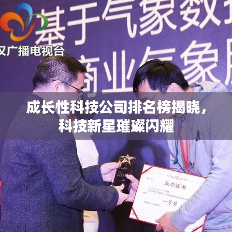 貴險賤璧 第6頁