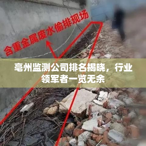 亳州監(jiān)測(cè)公司排名揭曉，行業(yè)領(lǐng)軍者一覽無余