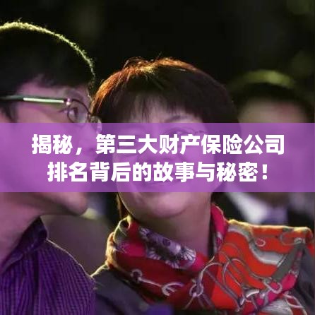 揭秘，第三大財(cái)產(chǎn)保險(xiǎn)公司排名背后的故事與秘密！