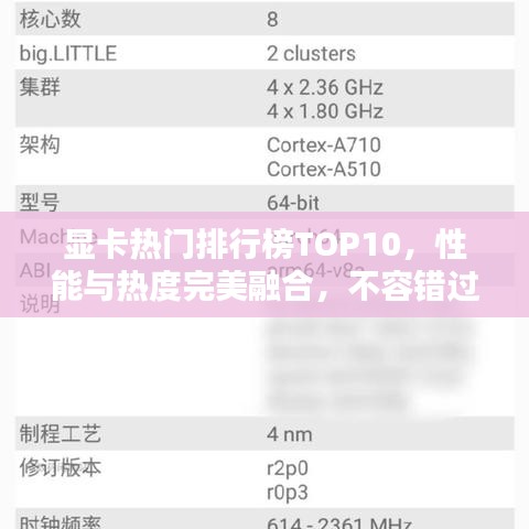顯卡熱門排行榜TOP10，性能與熱度完美融合，不容錯過！