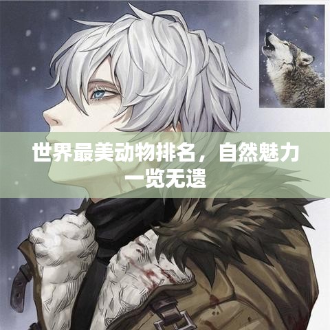 世界最美動(dòng)物排名，自然魅力一覽無遺