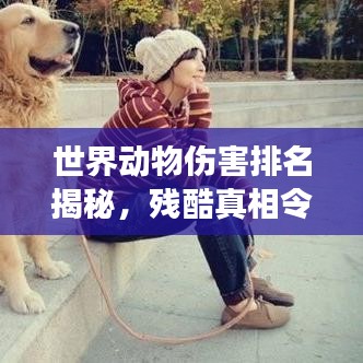 世界動(dòng)物傷害排名揭秘，殘酷真相令人震驚