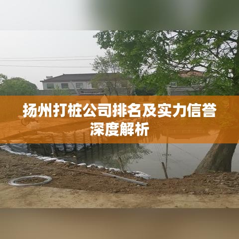 揚(yáng)州打樁公司排名及實(shí)力信譽(yù)深度解析