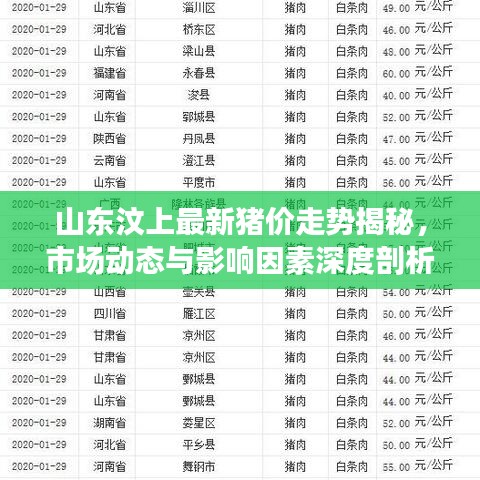 山東汶上最新豬價(jià)走勢揭秘，市場動(dòng)態(tài)與影響因素深度剖析