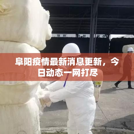 阜陽疫情最新消息更新，今日動態(tài)一網(wǎng)打盡