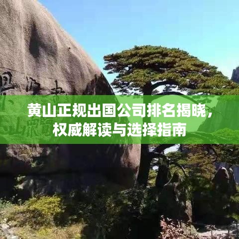 黃山正規(guī)出國(guó)公司排名揭曉，權(quán)威解讀與選擇指南
