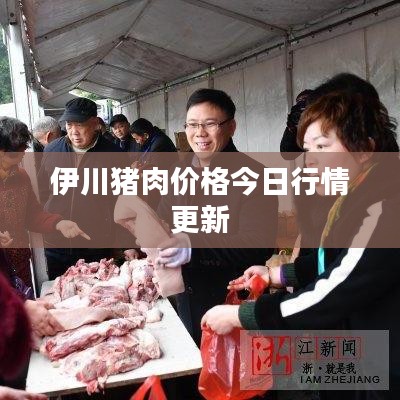 伊川豬肉價(jià)格今日行情更新