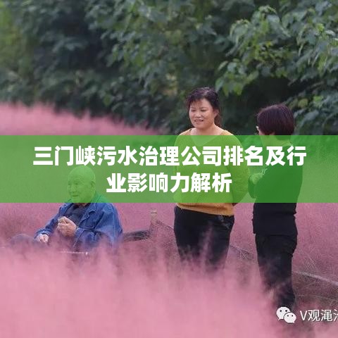 三門峽污水治理公司排名及行業(yè)影響力解析