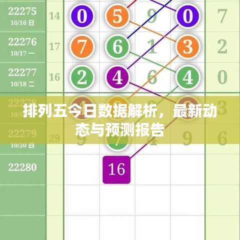 排列五今日數(shù)據(jù)解析，最新動態(tài)與預(yù)測報告