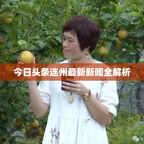 今日頭條連州最新新聞全解析