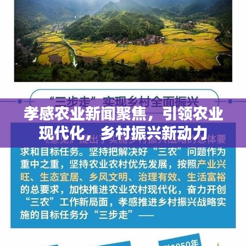 孝感農(nóng)業(yè)新聞聚焦，引領(lǐng)農(nóng)業(yè)現(xiàn)代化，鄉(xiāng)村振興新動(dòng)力