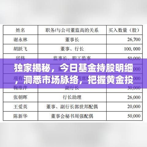 獨家揭秘，今日基金持股明細(xì)，洞悉市場脈絡(luò)，把握黃金投資機(jī)會！