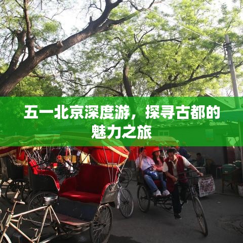 五一北京深度游，探尋古都的魅力之旅