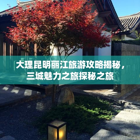 陽春白雪 第5頁