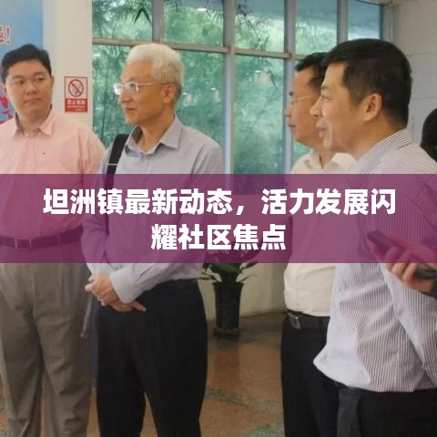 坦洲鎮(zhèn)最新動(dòng)態(tài)，活力發(fā)展閃耀社區(qū)焦點(diǎn)