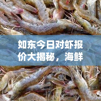 如東今日對(duì)蝦報(bào)價(jià)大揭秘，海鮮市場(chǎng)趨勢(shì)洞悉，掌握最新動(dòng)態(tài)！