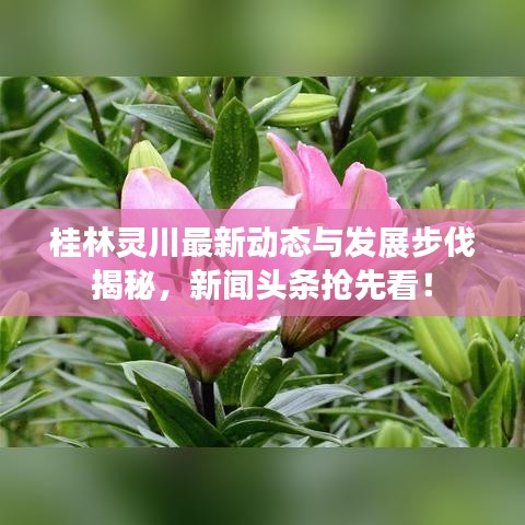 桂林靈川最新動態(tài)與發(fā)展步伐揭秘，新聞頭條搶先看！
