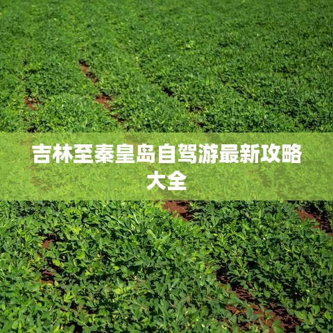骨瘦如柴 第6頁
