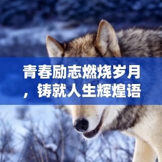 青春勵(lì)志燃燒歲月，鑄就人生輝煌語錄段