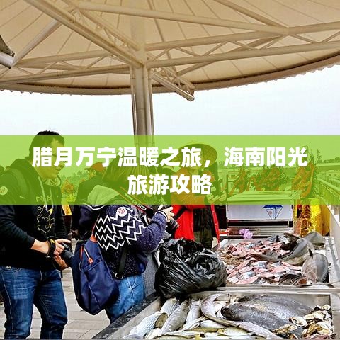 臘月萬寧溫暖之旅，海南陽光旅游攻略