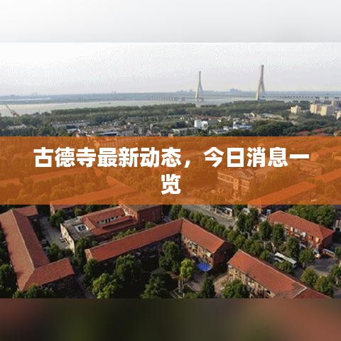 古德寺最新動態(tài)，今日消息一覽