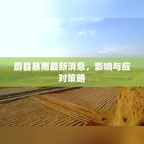 蔚縣暴雨最新消息，影響與應(yīng)對(duì)策略