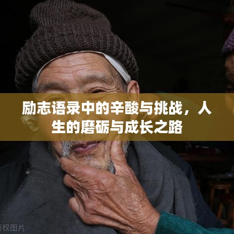 勵(lì)志語錄中的辛酸與挑戰(zhàn)，人生的磨礪與成長之路