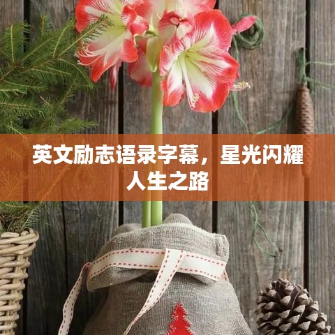 英文勵志語錄字幕，星光閃耀人生之路