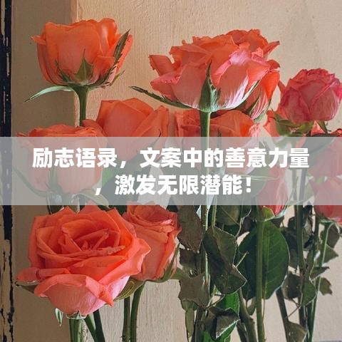 勵志語錄，文案中的善意力量，激發(fā)無限潛能！