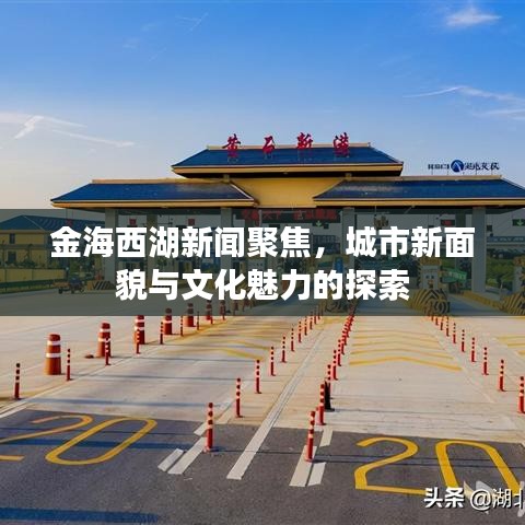 金海西湖新聞聚焦，城市新面貌與文化魅力的探索