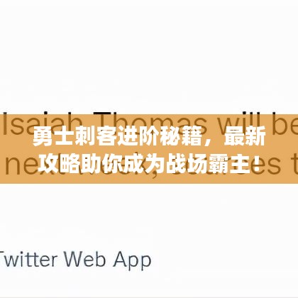 勇士刺客進(jìn)階秘籍，最新攻略助你成為戰(zhàn)場(chǎng)霸主！
