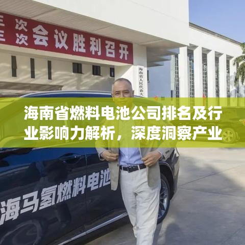 海南省燃料電池公司排名及行業(yè)影響力解析，深度洞察產業(yè)格局