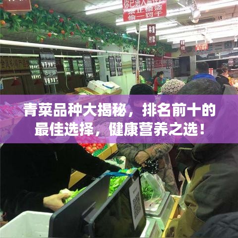 青菜品種大揭秘，排名前十的最佳選擇，健康營養(yǎng)之選！