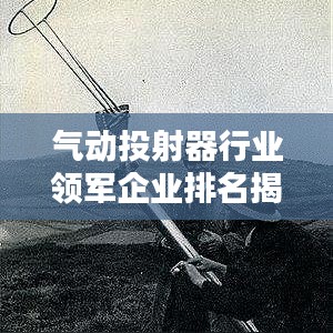 氣動(dòng)投射器行業(yè)領(lǐng)軍企業(yè)排名揭秘，行業(yè)頂尖公司一覽無余！