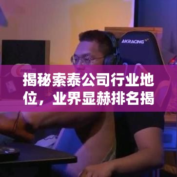 揭秘索泰公司行業(yè)地位，業(yè)界顯赫排名揭曉！