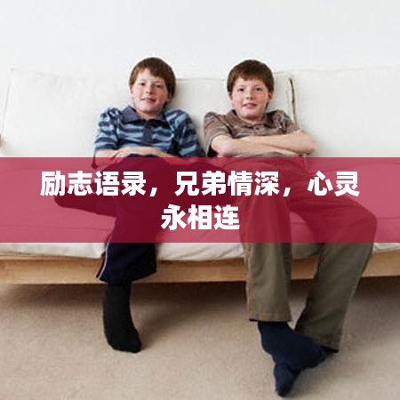 盡心盡力 第7頁
