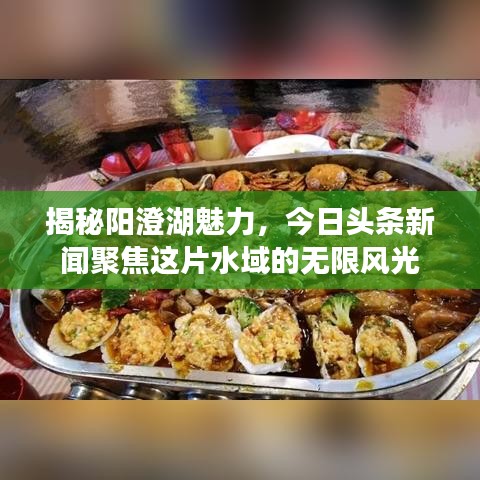 揭秘陽(yáng)澄湖魅力，今日頭條新聞聚焦這片水域的無(wú)限風(fēng)光