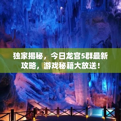 獨(dú)家揭秘，今日龍宮5群最新攻略，游戲秘籍大放送！