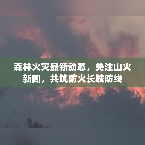 森林火災最新動態(tài)，關(guān)注山火新聞，共筑防火長城防線