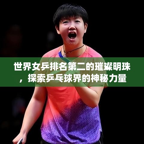 世界女乒排名第二的璀璨明珠，探索乒乓球界的神秘力量
