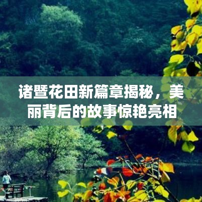 諸暨花田新篇章揭秘，美麗背后的故事驚艷亮相！
