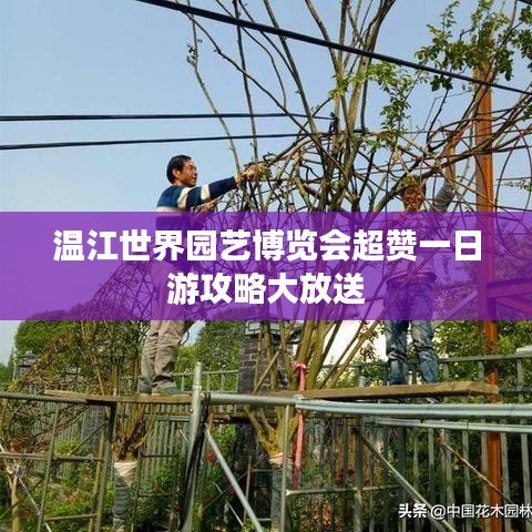 溫江世界園藝博覽會超贊一日游攻略大放送