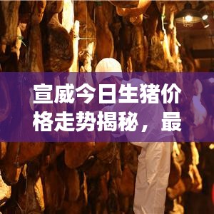 張惶失措 第6頁