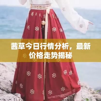 茜草今日行情分析，最新價(jià)格走勢(shì)揭秘