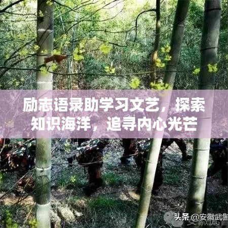 勵(lì)志語(yǔ)錄助學(xué)習(xí)文藝，探索知識(shí)海洋，追尋內(nèi)心光芒