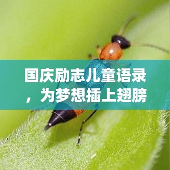 國慶勵(lì)志兒童語錄，為夢(mèng)想插上翅膀，激發(fā)無限潛能！