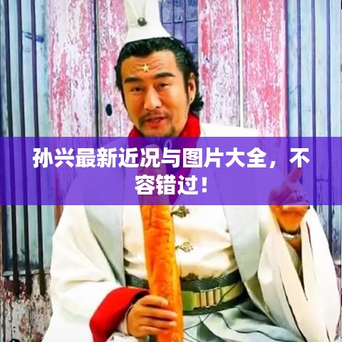 孫興最新近況與圖片大全，不容錯過！