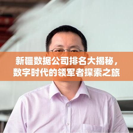 新疆?dāng)?shù)據(jù)公司排名大揭秘，數(shù)字時(shí)代的領(lǐng)軍者探索之旅