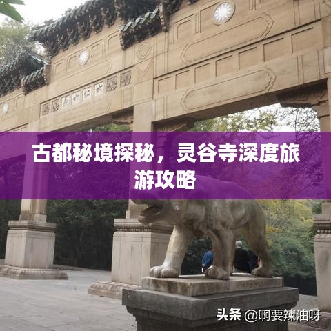 古都秘境探秘，靈谷寺深度旅游攻略