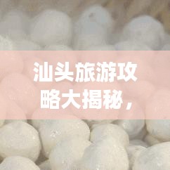都中紙貴 第6頁(yè)